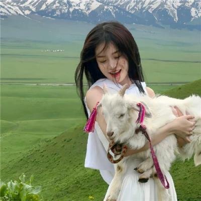 镖行天下前传之库丁之谜